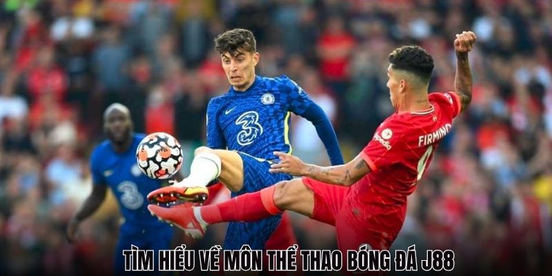 Tìm hiểu về môn thể thao bóng đá trong J88